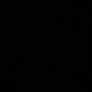 Meet your Posher, Rosa